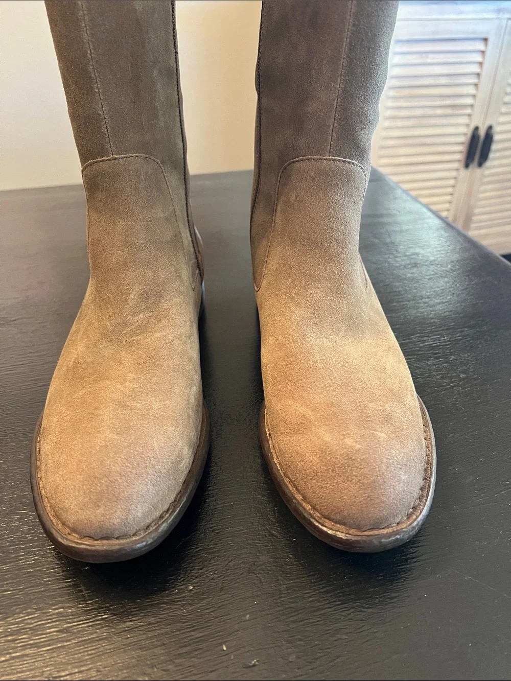 Born Women's Tall Suede Riding Boots -  Sz 10 NWT